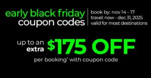VE Black Friday Sale